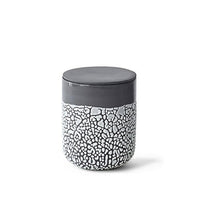 HOSLEY®  Ceramic Lichen Box/Floral Planter, 5 inches High
