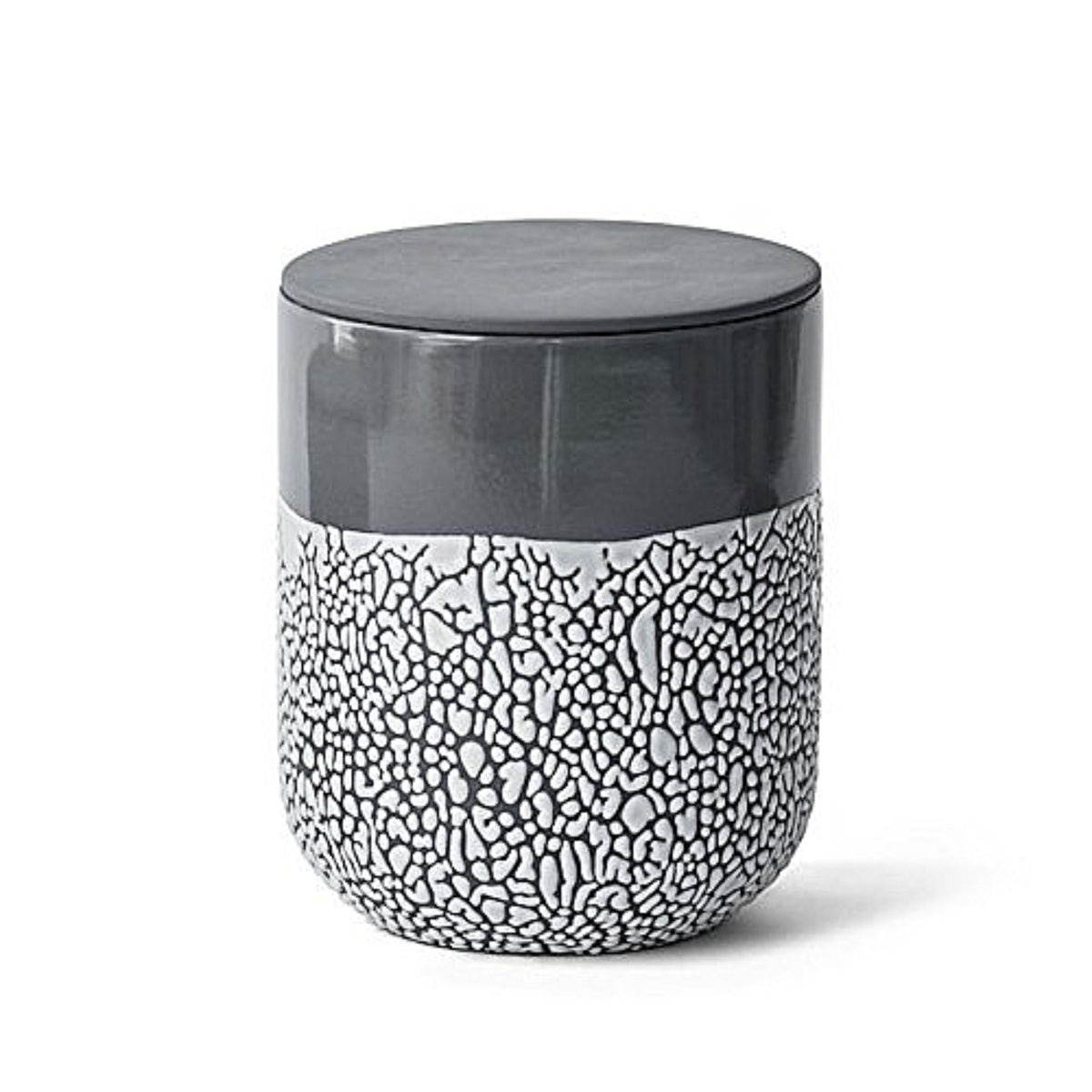 HOSLEY®  Ceramic Lichen Box, 6.5 inches High