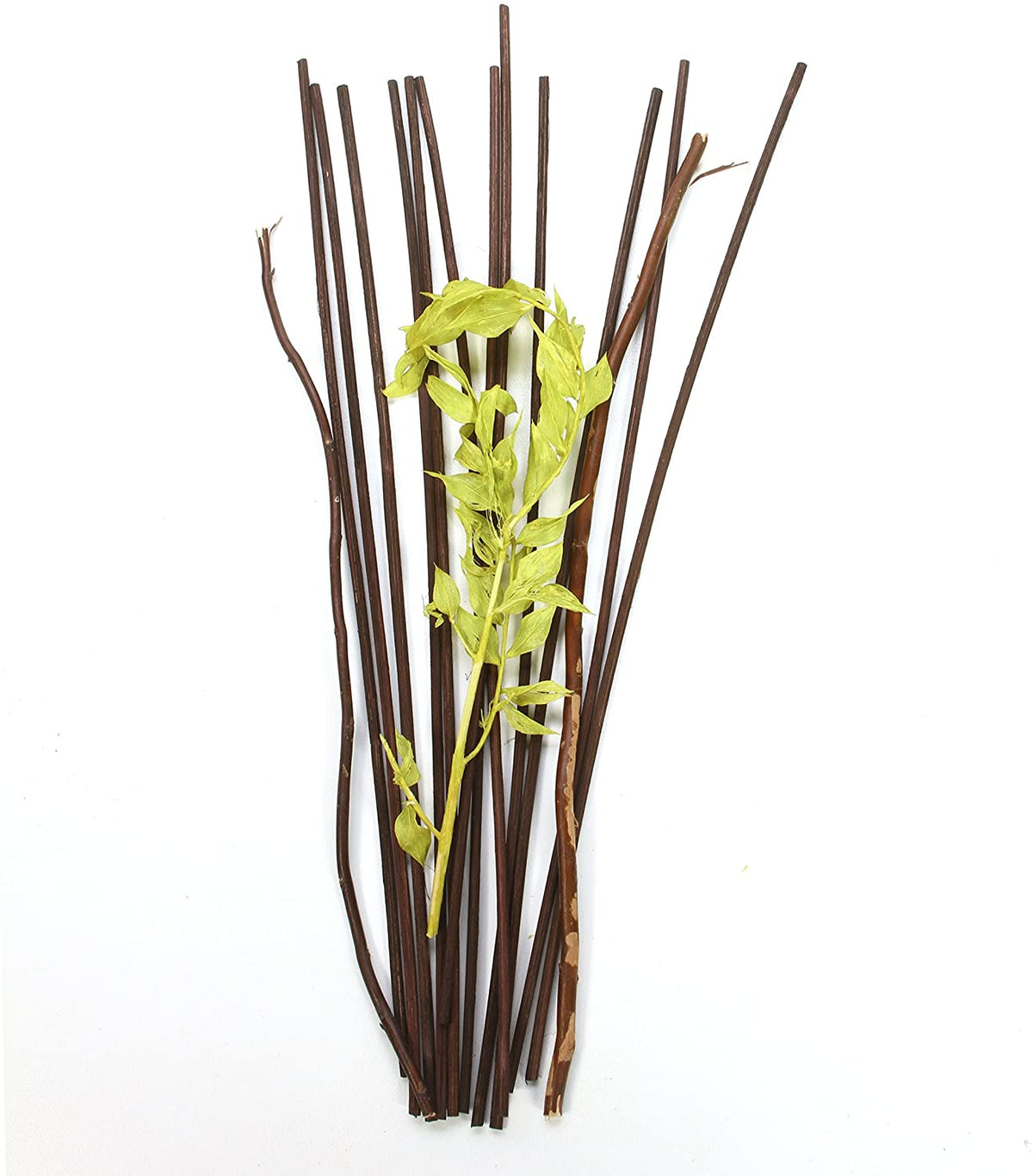 Aromatherapy 12.5 High Botanical Diffuser Reeds - Green/Brown. Ideal for Weddings, House Warming, Home Office, Meditation, Reiki Settings O9