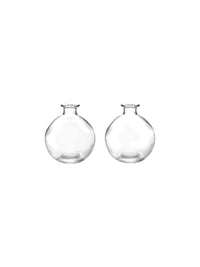 Clear Glass Vases/Diffuser Bottles | Set of 2