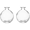 Clear Glass Vases/Diffuser Bottles | Set of 2