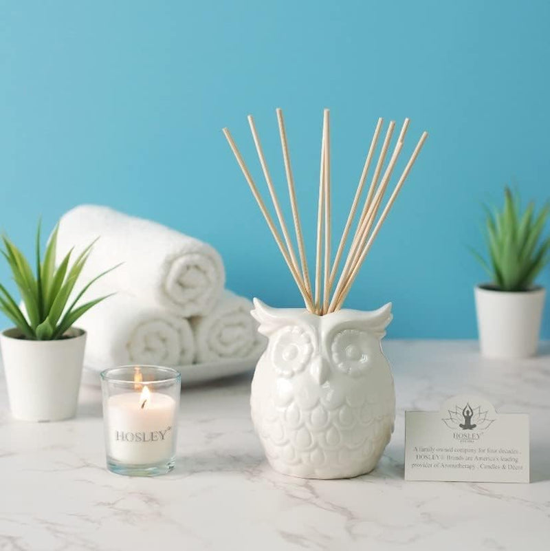 Vanilla Diffuser Oil with Ceramic Owl and Reed Sticks