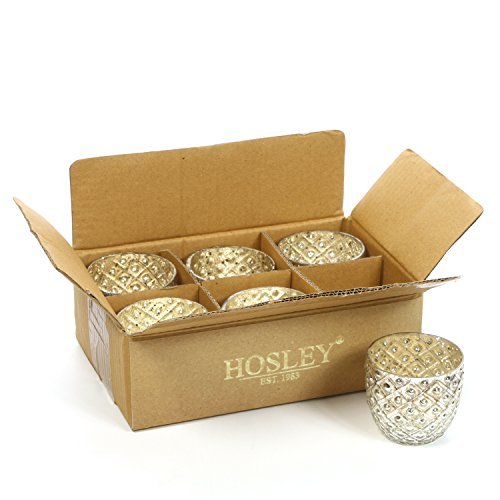 Hosley Set of 6 Metallic Antique Silver Glass Votive Tealight Farmhouse Candle Holder 2.75 Inch Diameter Ideal for Bridal Weddings Parties Events Spa Settings and Aromatherapy MINI Flower Pot O4