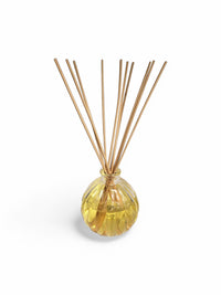 Apple Cinnamon Bliss with Premium Diffuser Oil Set Glass Bottle, Aromatic Oil, and Reed Sticks for a Warm and Inviting Home Ambiance Unleash Cozy Fragrance with Every Breath