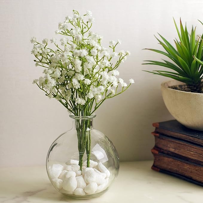 Clear Glass Vases/Diffuser Bottles | Set of 2