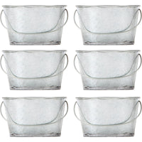 HOSLEY®Iron Mini Galvanized Planter, Set of 6, 3.8 inches Long each Oval