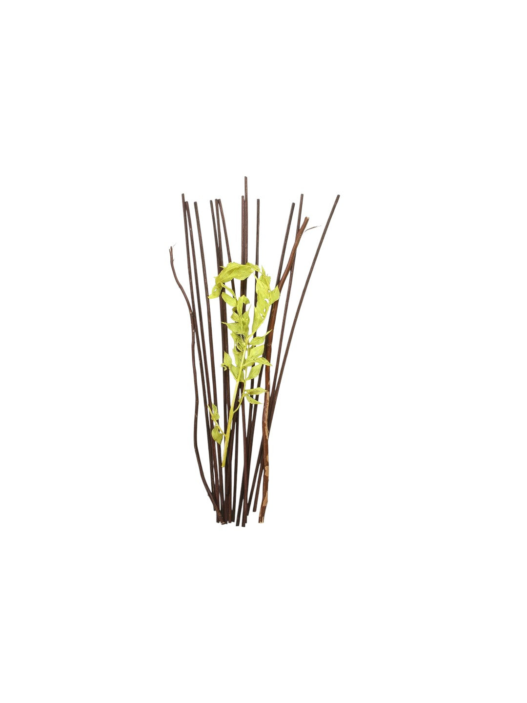 Aromatherapy 12.5 High Botanical Diffuser Reeds - Green/Brown. Ideal for Weddings, House Warming, Home Office, Meditation, Reiki Settings O9