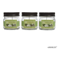 HOSLEY®  Sweet Pea Jasmine Fragrance Jar Candles, Set of 3, 4 oz. each