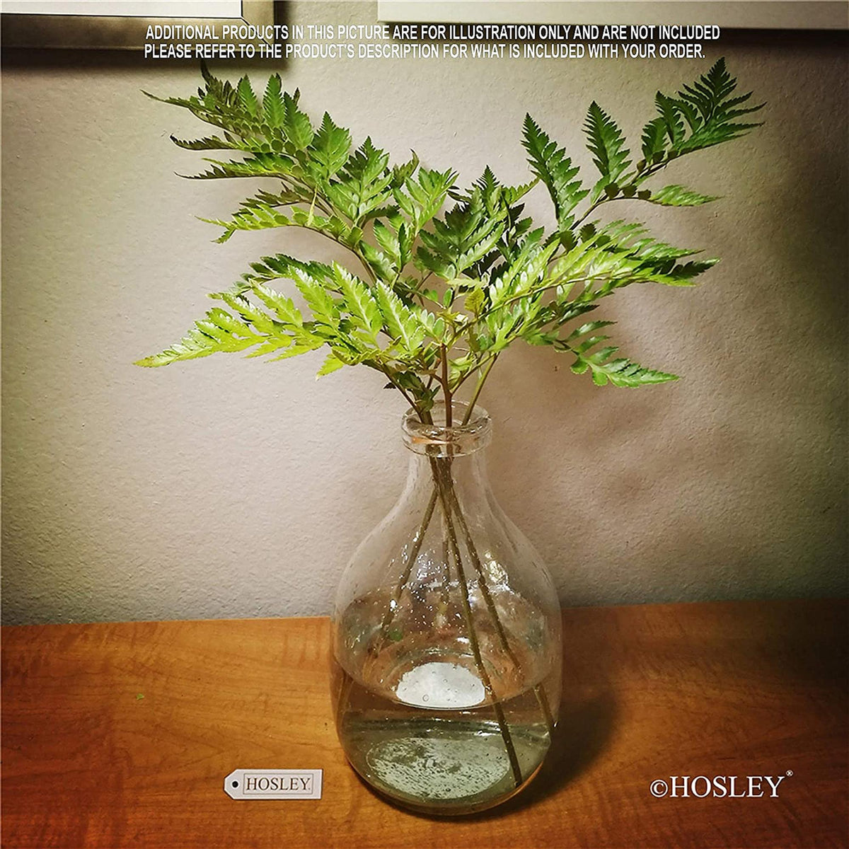 HOSLEY® Glass Bottle Vases , Clear, Set of 2 , 7 Inch High each
