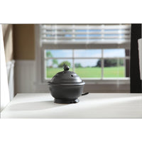 HOSLEY® Ceramic Electric Liquid Potpourri Pot Warmer,  Black color,  5 inches High