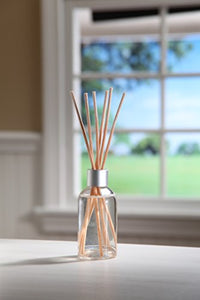 Cinnamon Vanilla Reed Diffuser Refill | Set of 2