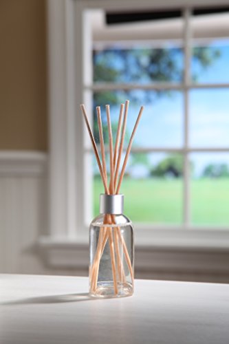 Cinnamon Vanilla Reed Diffuser Refill | Set of 3