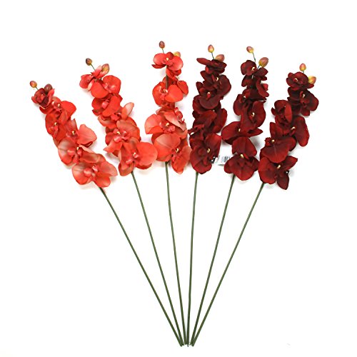 Orchid Phalaenopsis Artificial Flowers, Set of 6, 28 inches Long each