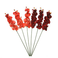 Orchid Phalaenopsis Artificial Flowers, Set of 6, 28 inches Long each