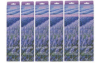 Lavender Fragrance Incense Sticks Essential Oils Infusion for Long-Lasting Aromatherapy Bliss Holistic Relaxation in Every Box Pack of 240 Incense Stick