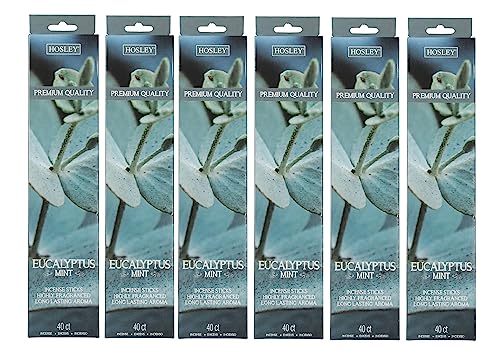 Eucalyptus Mint Fragrance Incense Stick Infused with Essential Oils for Long-Lasting Aromatherapy Bliss Holistic Relaxation in Every Box Pack of 240 Incense Stick Pack of 6