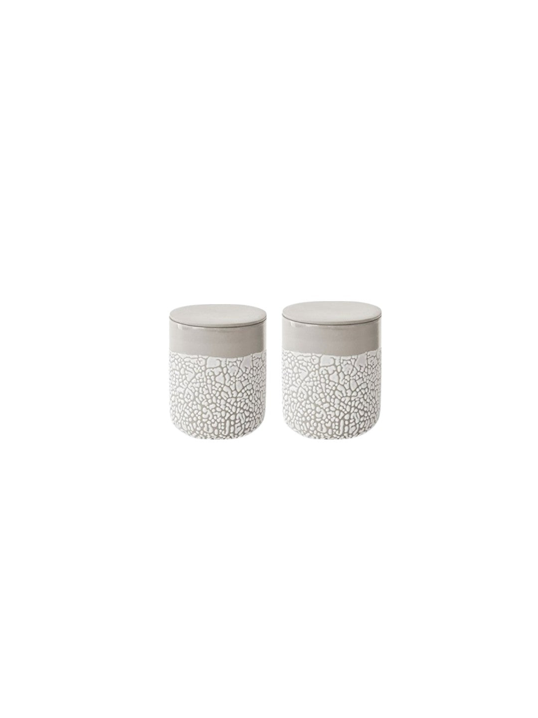 Set of 2 Lichen Box 6.5 Inches High Ivory Ideal Storage Gift for Weddings Home Study Knickknacks Trinkets Planter Candle Garden O9