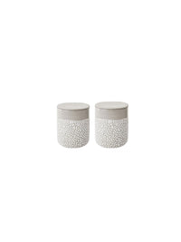 Set of 2 Lichen Box 6.5 Inches High Ivory Ideal Storage Gift for Weddings Home Study Knickknacks Trinkets Planter Candle Garden O9