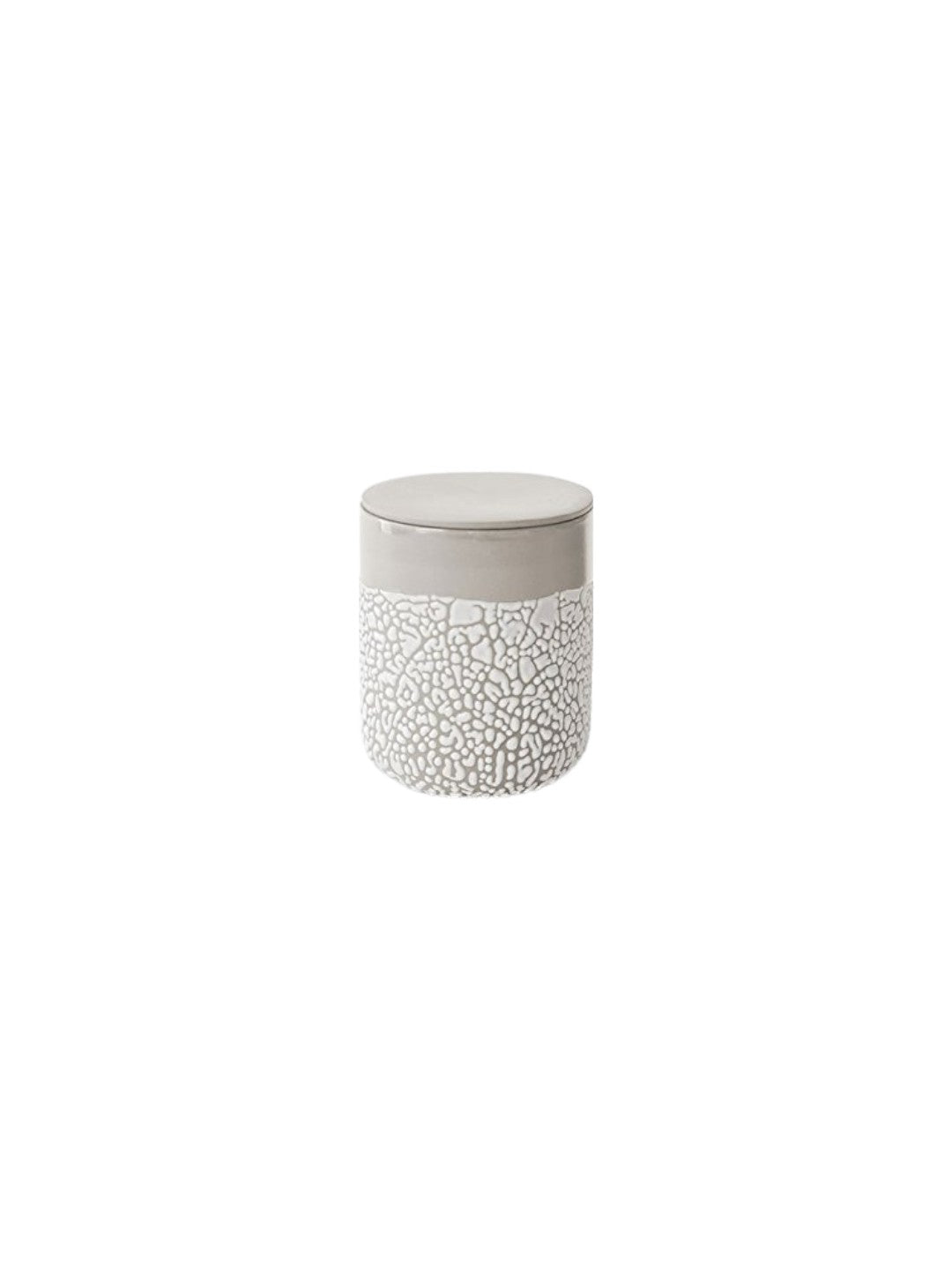 Lichen Box 5 Inch High Ivory. Ideal Storage Gift for Wedding Home Study Knickknacks Trinkets Planter Candle Garden O9