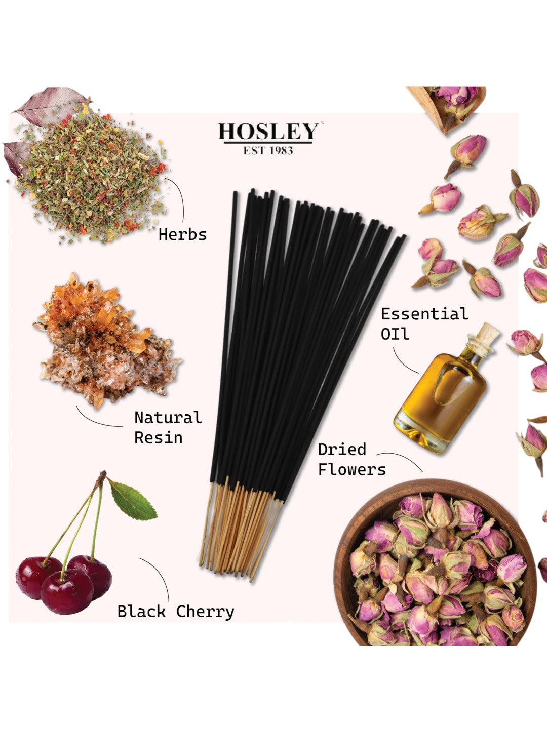 Black Cherry Fragrance Incense Sticks Essential Oils Infusion for Long-Lasting Aromatherapy Bliss Holistic Relaxation in Every Box Pack of 240 Incense Stick