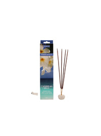 Caribbean Breeze Incense Sticks 240 Pack of Fragrance Sticks Infused with Essential Oils Long-Lasting Aroma for Home, Meditation, and Relaxation Natural Scented Sticks for Aromatherapy