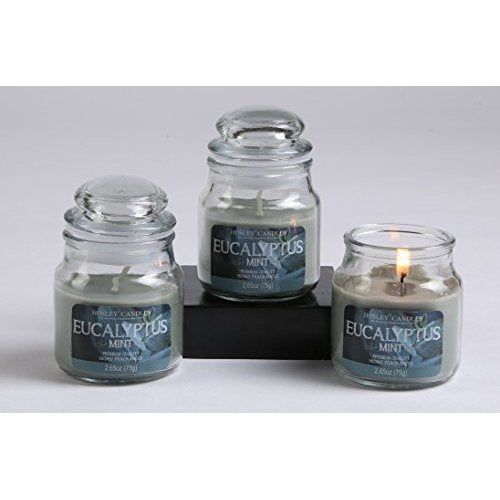 Set of 3, 2.65 oz Eucalyptus Mint Fragranced Jar Candles