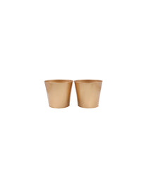 Set of 2, 6In H Gold Bucket/Pots with PVC Liner, Ideal Gift for Wedding Home Office Party DYI Indoor Outdoor Garden Patio