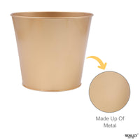 Set of 2, 6In H Gold Bucket/Pots with PVC Liner, Ideal Gift for Wedding Home Office Party DYI Indoor Outdoor Garden Patio