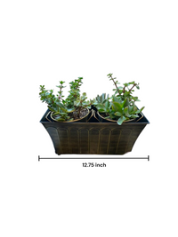 Iron Topiary Planter | Brown