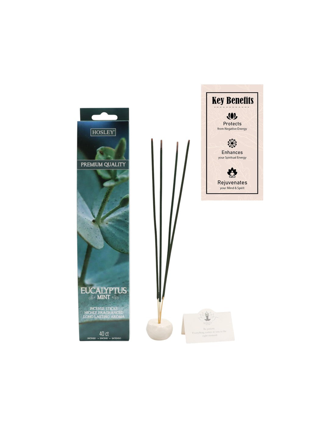 Eucalyptus Mint Fragrance Incense Stick Infused with Essential Oils for Long-Lasting Aromatherapy Bliss Holistic Relaxation in Every Box Pack of 240 Incense Stick Pack of 6