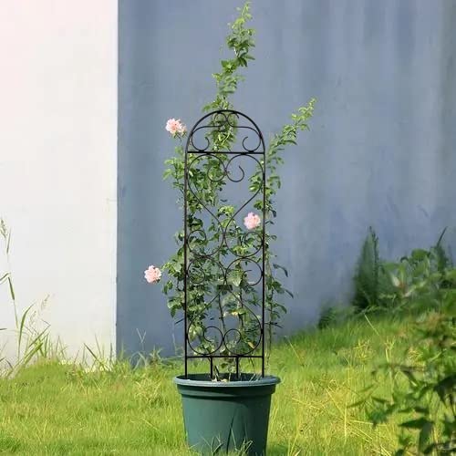 Iron Scroll Planter Trellis, Set of 2 , 27 inches High each